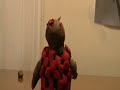 Gore Test Gore Test