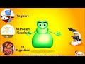 <b>What is a Bacteria ?<b>