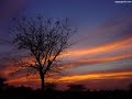 Punto cantado de Africanos Meu Santo e forte