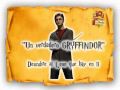 Club: Un verdadero GRYFFINDOR