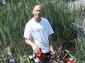 Aquatic Vegetation Groomer AVG Pond Lake Weed Cutter