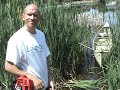 Aquatic Vegetation Groomer AVG Pond Lake Weed Cutter
