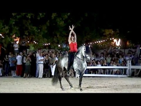 馬場馬術のartistique/芸術的な馬場馬術