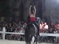 Dressage artistique/Artistic dressage