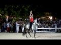 Dressage artistique/Artistic dressage