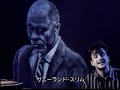 Sunnyland Slim - Tin Pan Alley