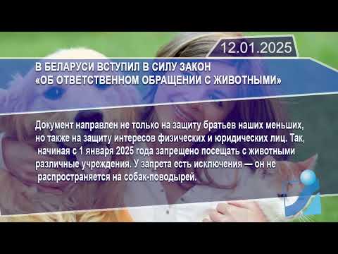 Новостная лента Телеканала Интекс 12.01.25.