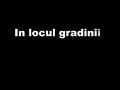 Greceanu - Curtea interioara