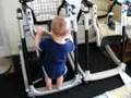 videos de 519