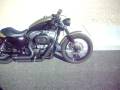 Nightster Harley Davidson Project
