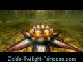 Zelda Twilight Princess Forest Temple 2