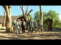 Dance the Cranko - Tierisch - im Zoo!