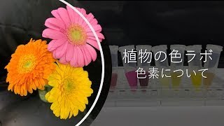 YouTubeサムネ