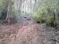 Off Roading - Third section of Ellis Track, Wesburn