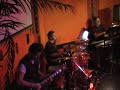 lead guitar collection