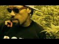 Redman Sourdeezal Official Music Video and Lyrics