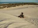 caballo de jildo