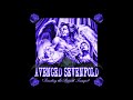 Avenged Sevenfold – Warmness on the Soul