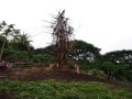 Pentecost N'gol, Vanuatu