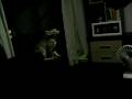videos de Margarida, gatinha maluca