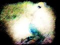 The Shaky Hands - We Are Young