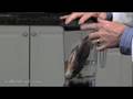 Will It Blend? - Tilapia-O-Matic