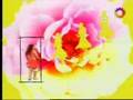 videos de Abertura Floricienta - 1ª Temporada