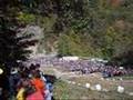 Devils staircase 2006