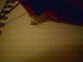 me drawing Zim