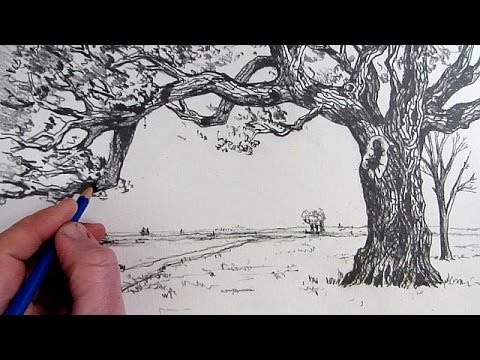how to to draw a tree