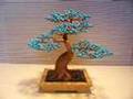 Bonsai Tree Sculpture #68 by Jim Shull