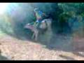videos de Rodeio