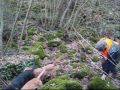 cacciarella al lamone nel territorio di ischia di castro
