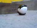 matando huevos al estilo fear 2