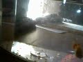 MY PLATY WITH BABIES