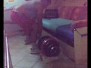 200kg stacco
