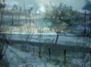 nieve
