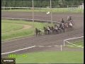 HorseRace 4 - KARA HILDING (Hein VD Hende) WAREGEM 090503