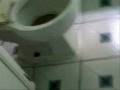 videos de My New House - Phase 1 - The First Day