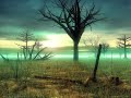 DJ Tiesto - Magik 1 First Flight - Healing Dream DJ Tiesto - Magik 1 First Flight - Healing Dream