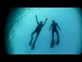 Spearfishing in the front yard pt.2 - New Zealand