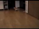 come with me!