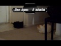 Cat and Dog Diaries Episode 4