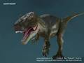 Takashi Sugita Animation Demo Reel V 1.0 2008