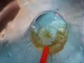 iced tea.. yeah
