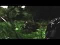 Pheromone (Short Film)
