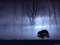 Evanescence-Haunted (chipmunk) Evanescence-Haunted (chipmunk)