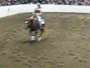 2008 Congress Freestyle Reining---Gun Powder and Lead