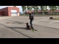 Click to View : Spordag 16. maj 2016 - Sanne og Laban - Asfalt spor