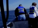 Adventure RIB Rides.com Whales, Dolphins, Islas los Coronado